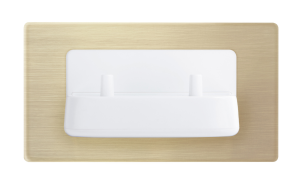 ProofVision In Wall Toothbrush Charger Range - Dual Toothbrush Charger + Brushed Brass Finish